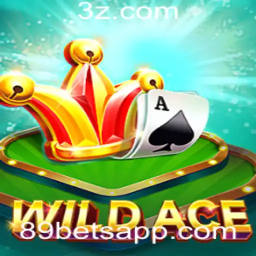 Descubra a Emoção e as Regras do Jogo WildAce da 89bet